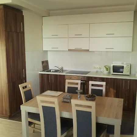 中心公寓 - 维吉奥公寓 公寓 维尔纽斯