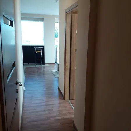 中心公寓 - 维吉奥公寓 维尔纽斯