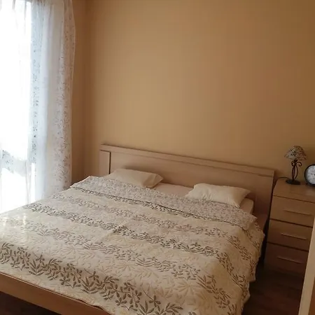 公寓 中心公寓 - 维吉奥公寓 *