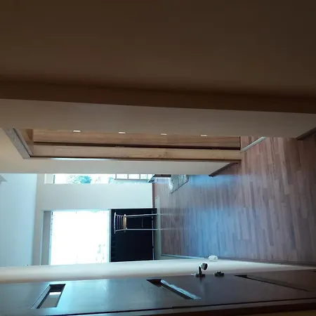 公寓 中心公寓 - 维吉奥公寓 维尔纽斯