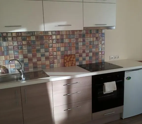 דירה Centro Apartamentai - Vingio Apartamentai וילנה