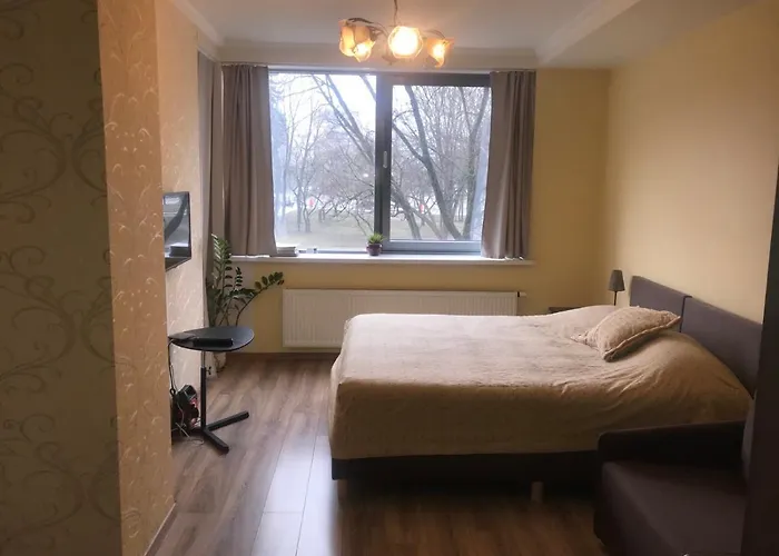 Centro Apartamentai - Vingio Apartamentai דירה וילנה